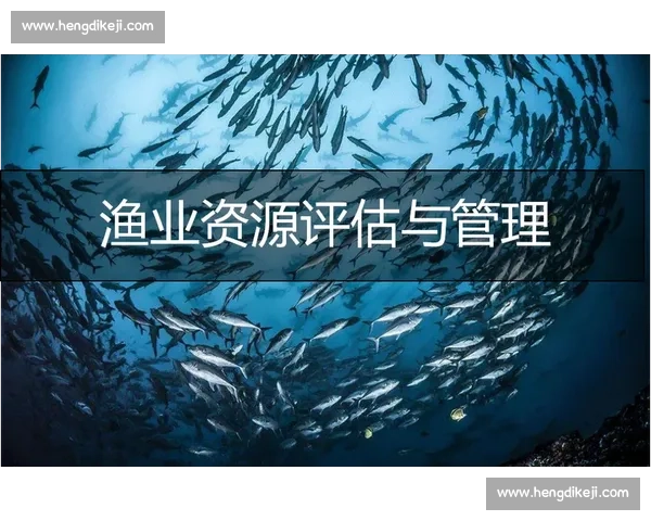 全面解析体育赛事表现与数据评估的科学方法与实践应用 全面解析体育赛事表现与数据评估的科学方法与实践应用